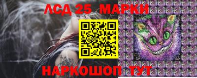 a pvp Брянск