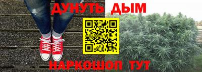a pvp Брянск