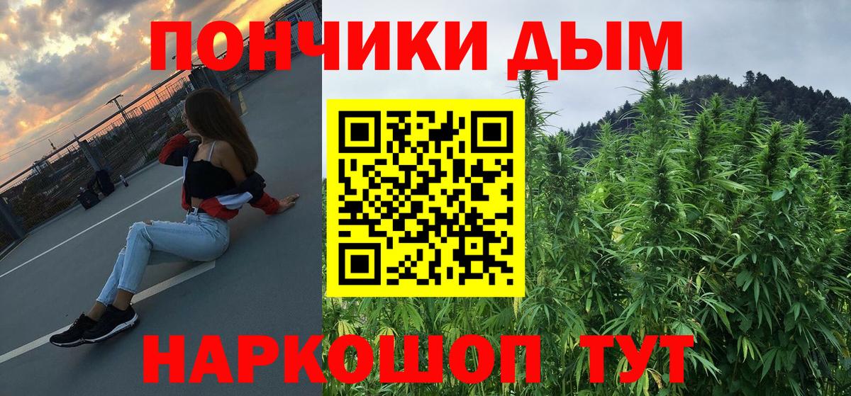 Йошкар-Ола  Марихуана AK-47  Вход с VPN  Марихуана Ganja  Шишки марихуана планчик 