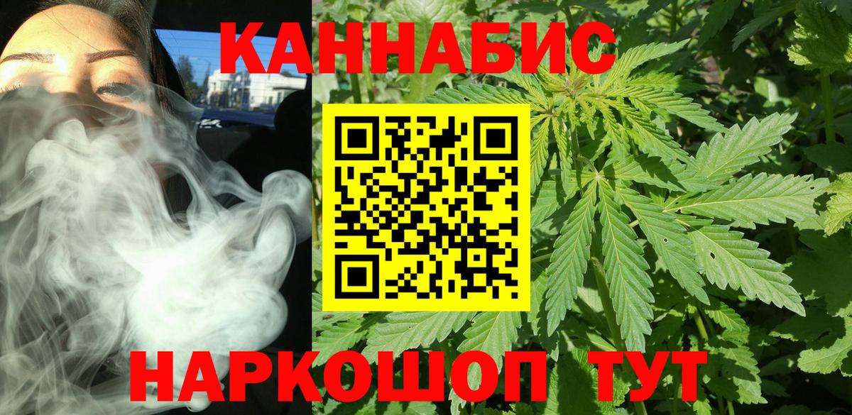 Каннабис сатива Йошкар-Ола